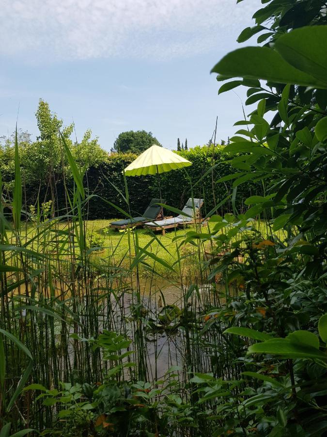 Ferienwohnung Villa Flora ツェレ エクステリア 写真